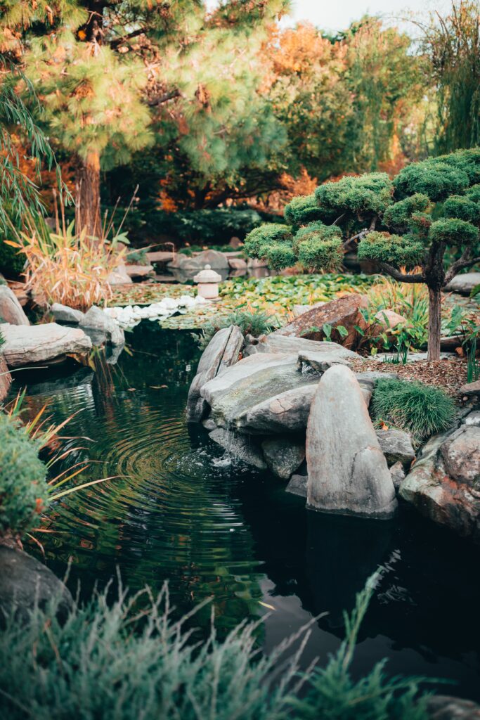 Jardin Zen Masse Environnement