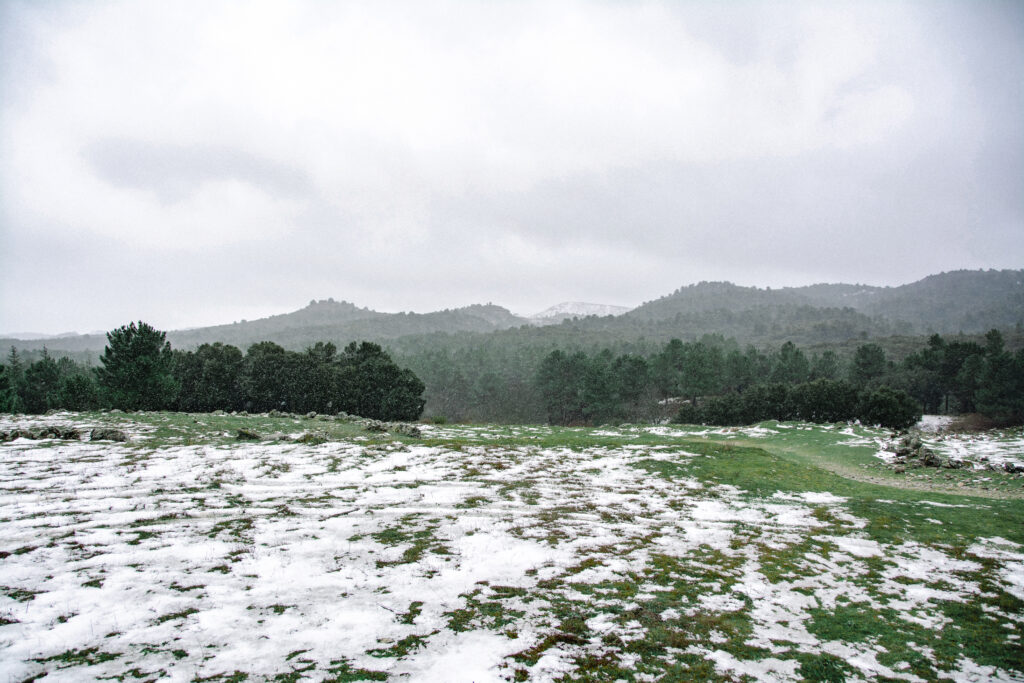 Entretien du gazon et des massifs en hiver
